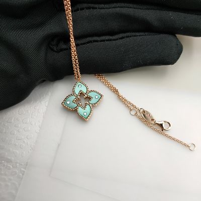 Glanzende 18k echt goud over oorbel en ketting met natuurlijke robijn
