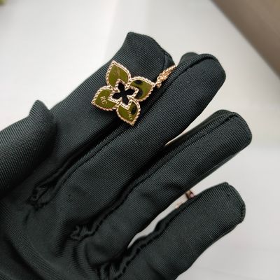 Glanzende 18k echt goud over oorbel en ketting met natuurlijke robijn