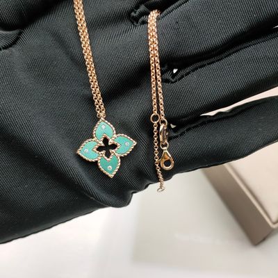 Glanzende 18k echt goud over oorbel en ketting met natuurlijke robijn